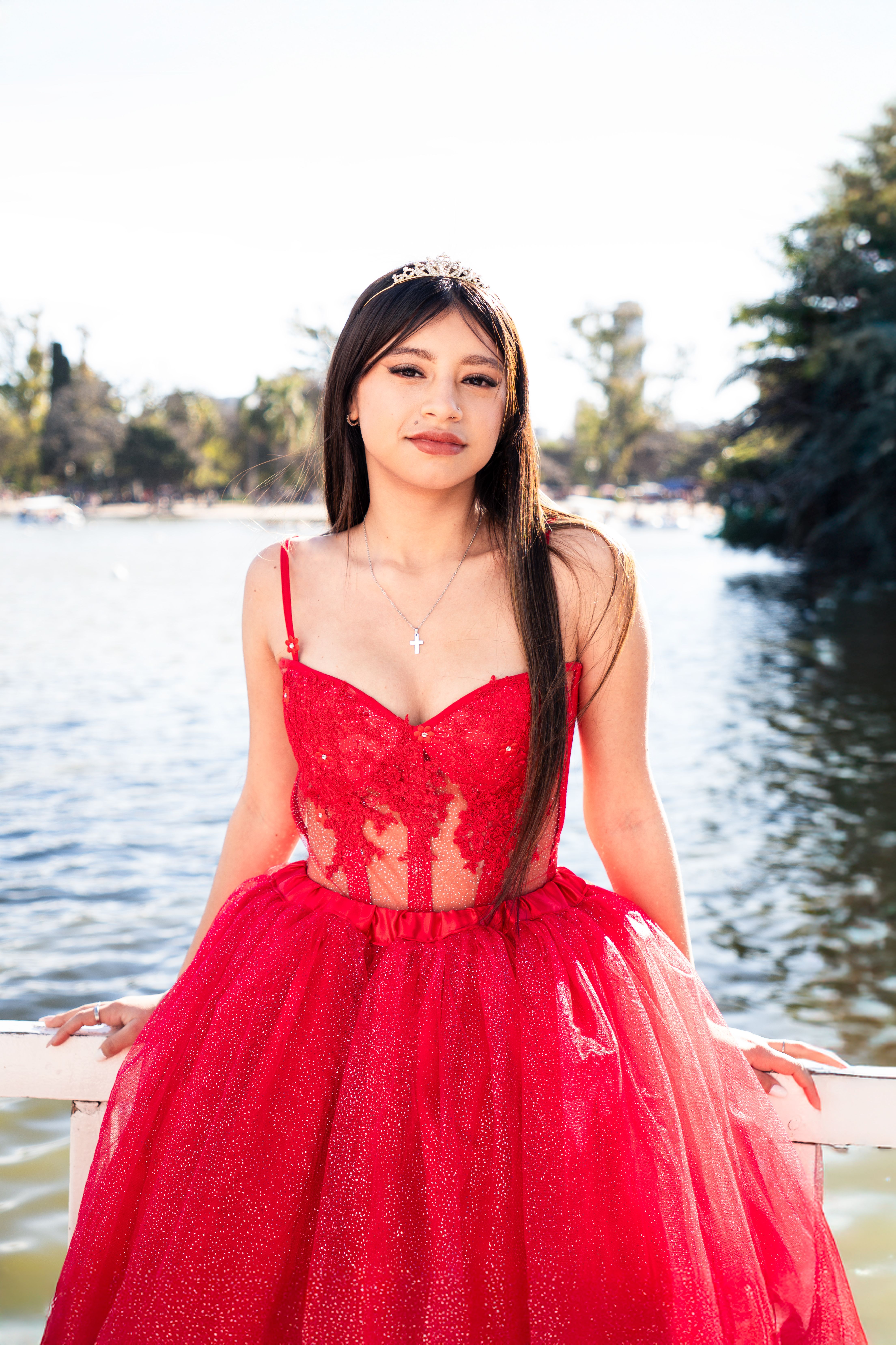 Book XV
