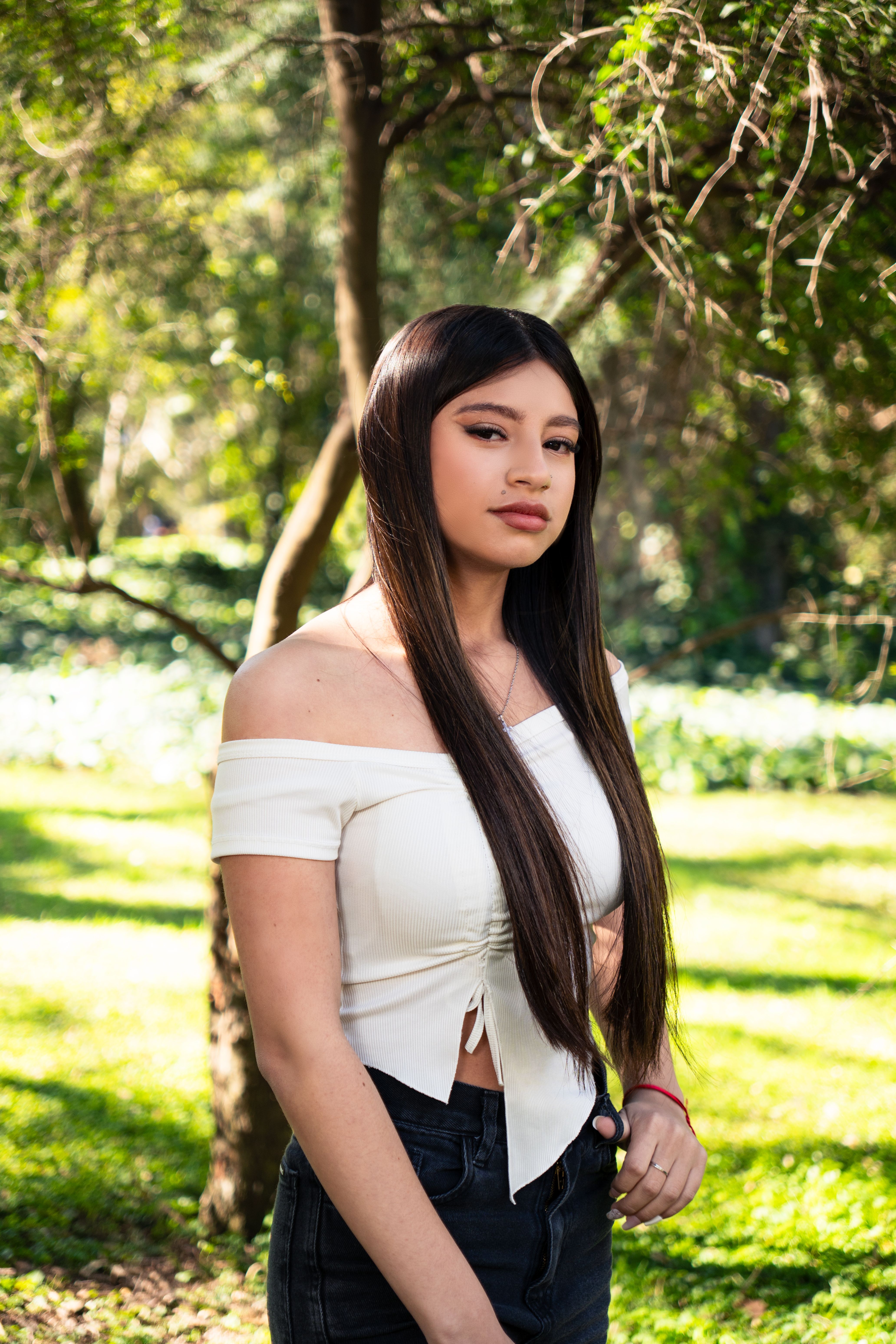 Book XV