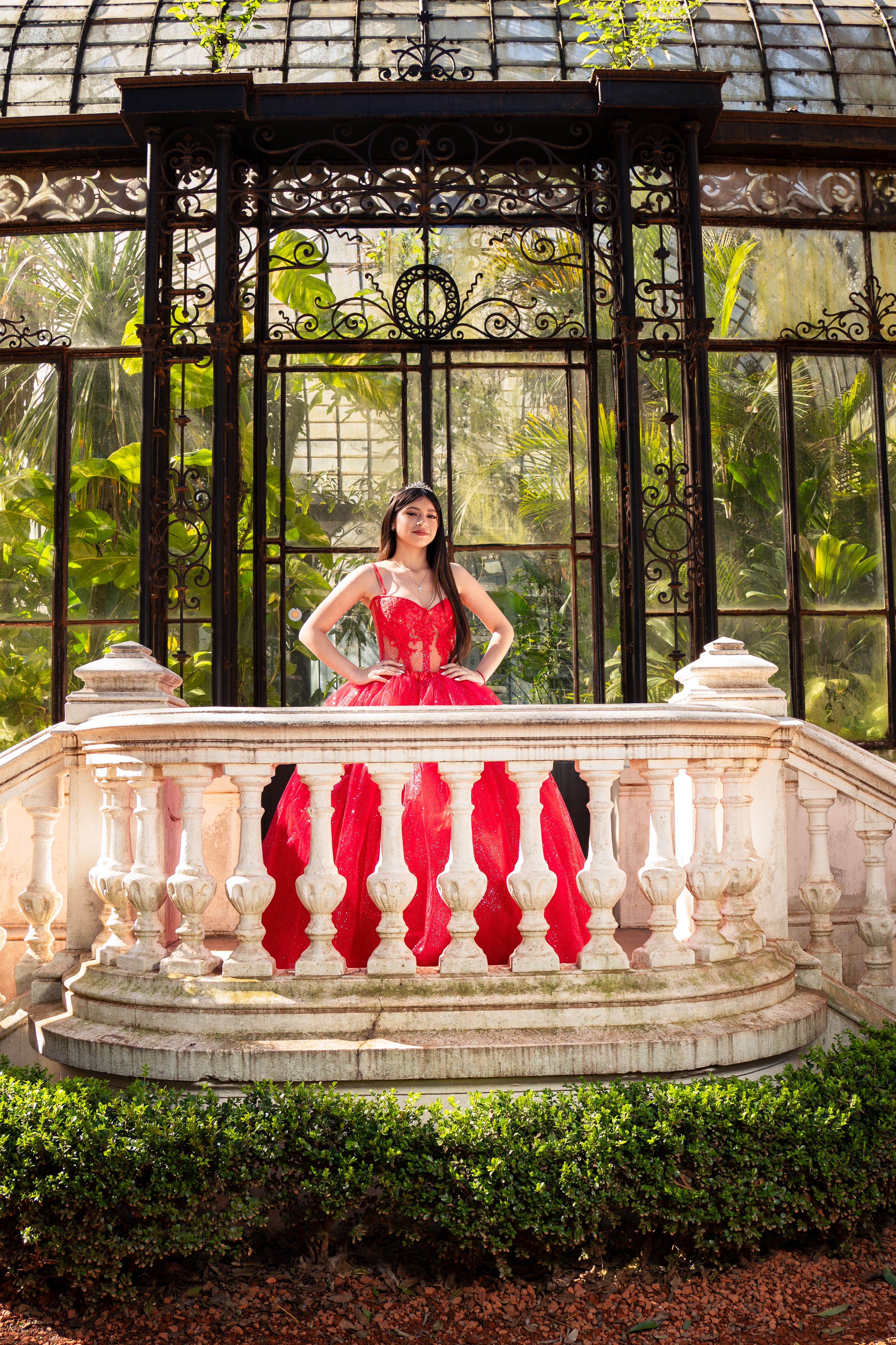 Book XV