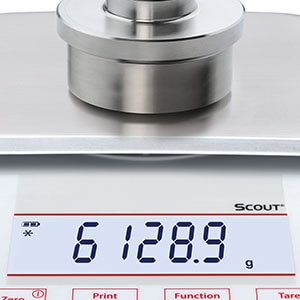 Scout™ SPX — особенность 3