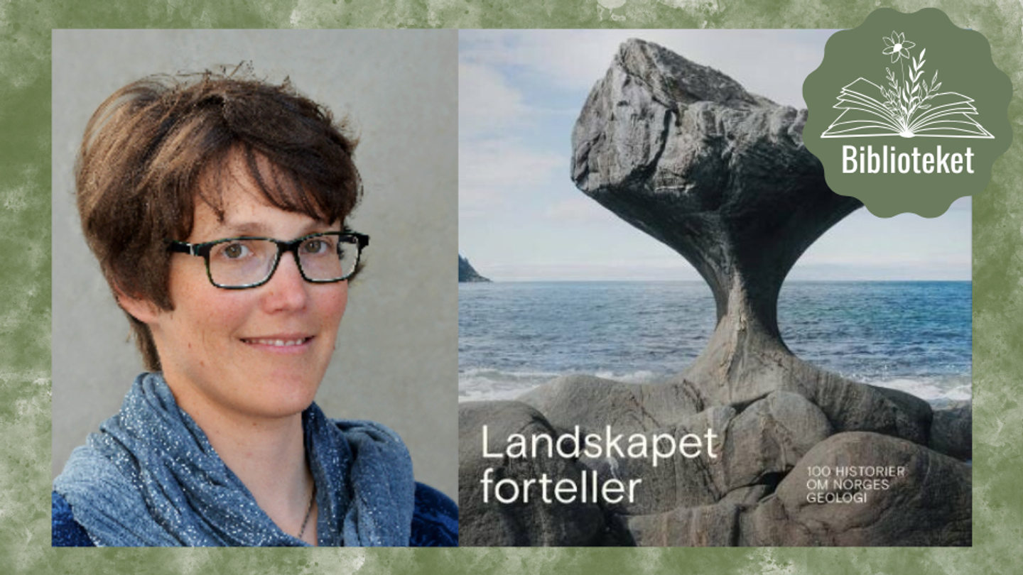 Bilde for “Landskaper forteller” med førsteamanuensis Deta Gasser