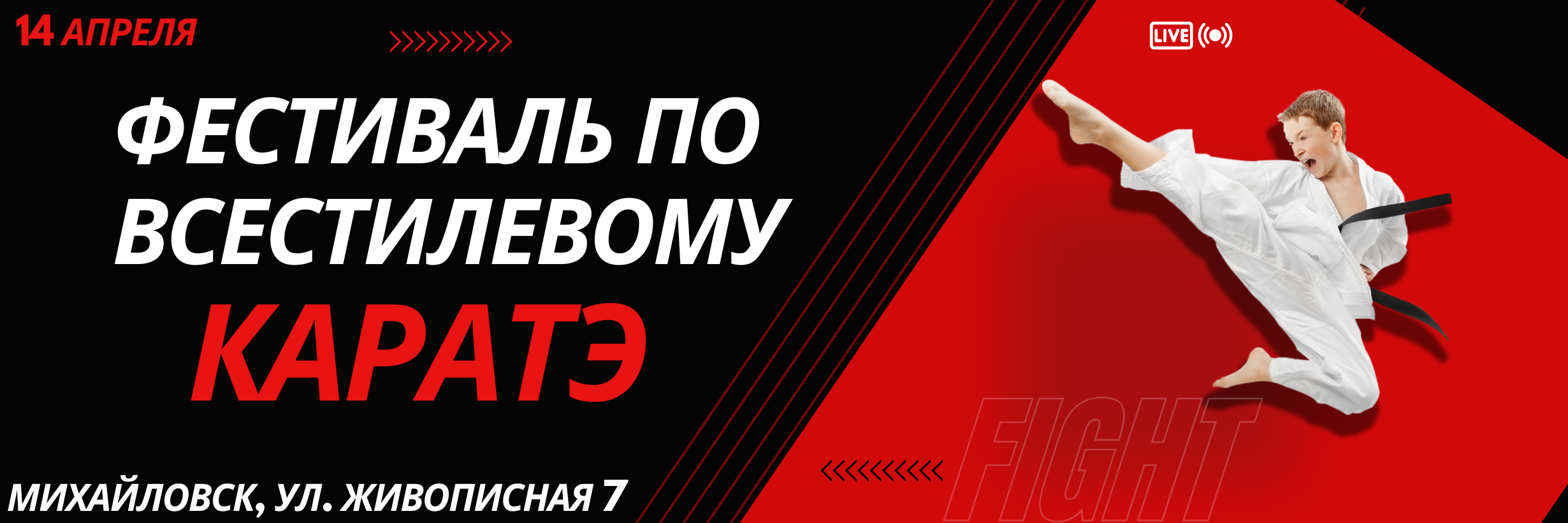 Фестиваль всестилевого каратэ в Михайловске