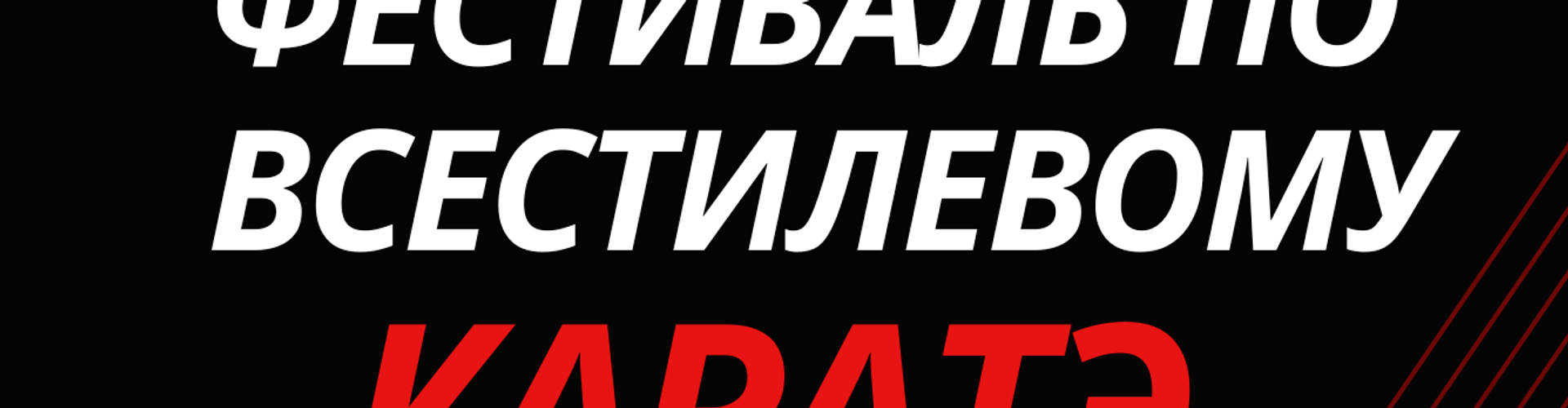 Фестиваль всестилевого каратэ в Михайловске