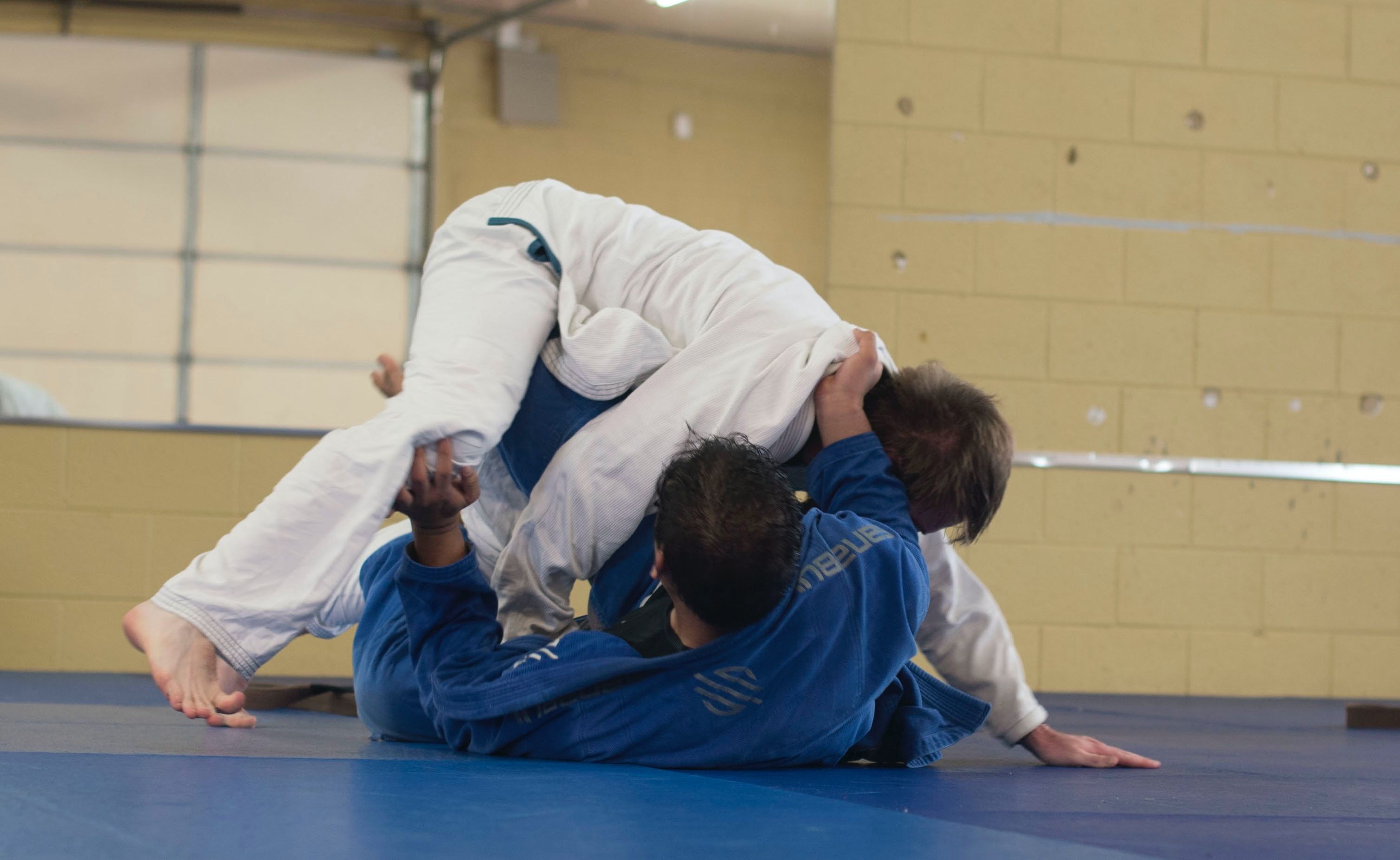 Cossack Fortress Jiu-Jitsu Academy представляет клубный турнир "Stavropol Open" по Бразильскому джиу-джитсу
