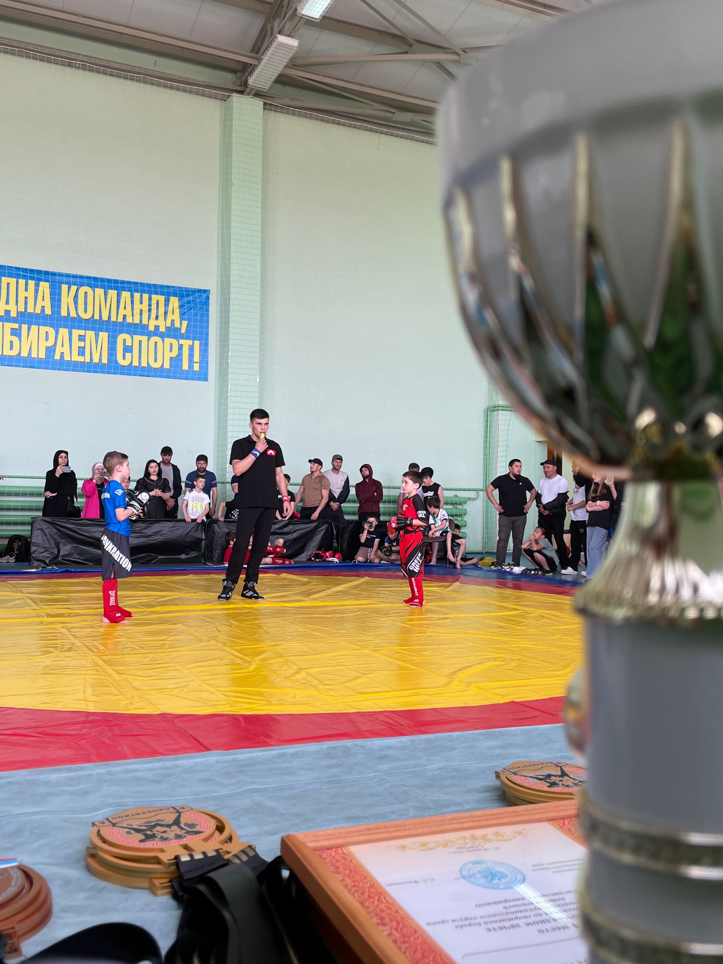 Турнир по панкратиону от чемпионов из Грачёвки
