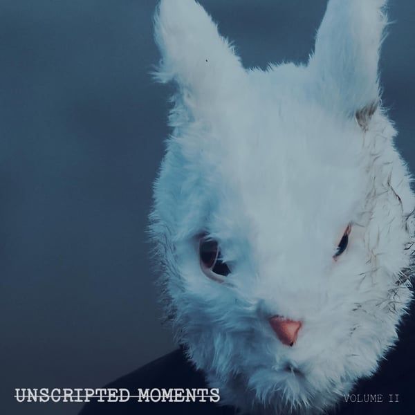 Unscripted Moments vol 2 album cover. The cover portraits a band member wearing a rabbit mask along with the album title.