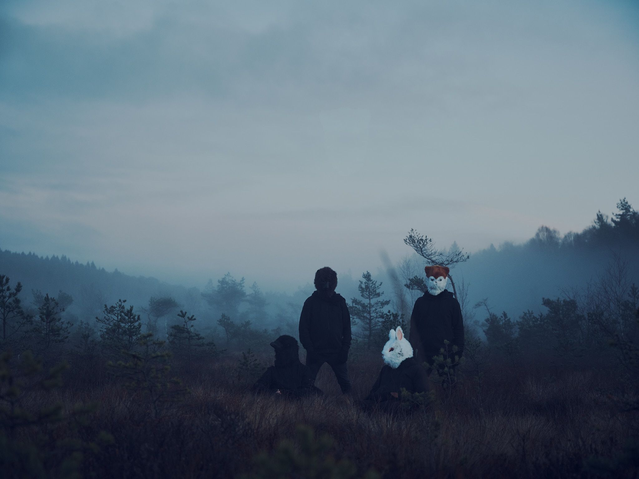 Band photo. The four band members stand or sit in a mist covered mire wearing black clothes and animal masks, resembling from left to right a crow, a bear, a rabbit and a cat.