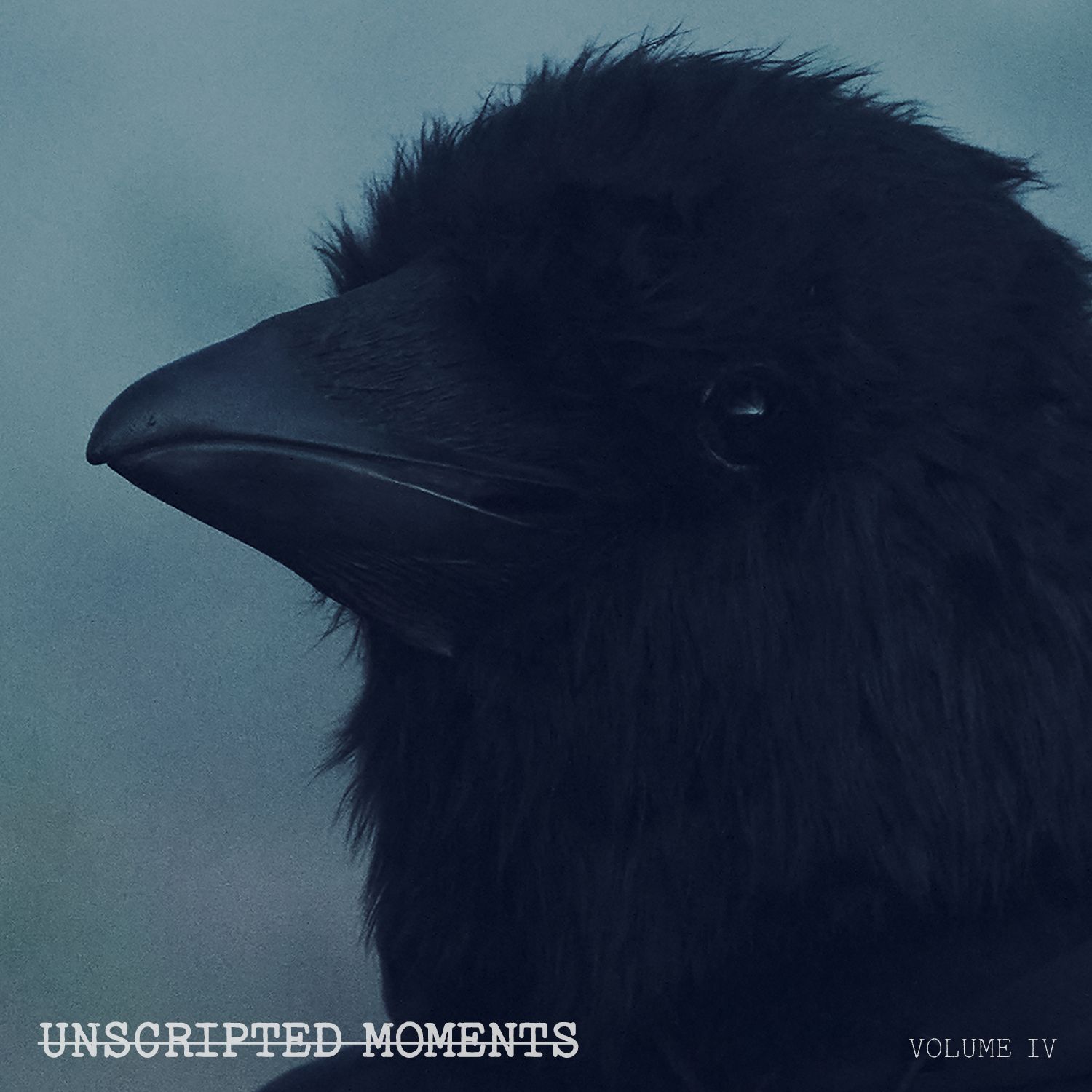 Unscripted Moments vol 4 album cover. The cover portraits a band member wearing a crow mask along with the album title.