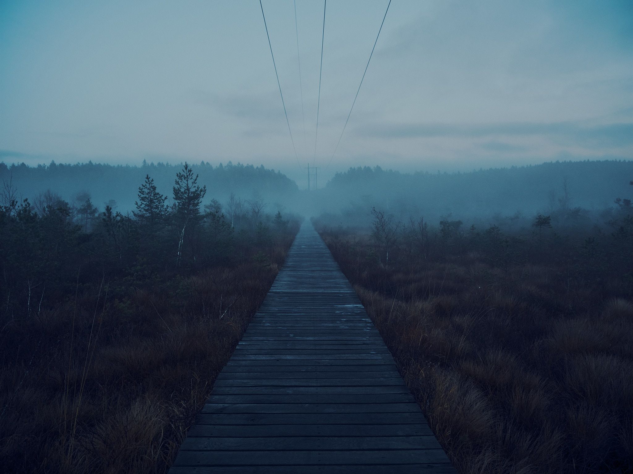 Environmental photo of a mist covered mire. There is a bridge in the center, going from where the photo is taken straight to the other end of the mire. Above it stretches a power line.