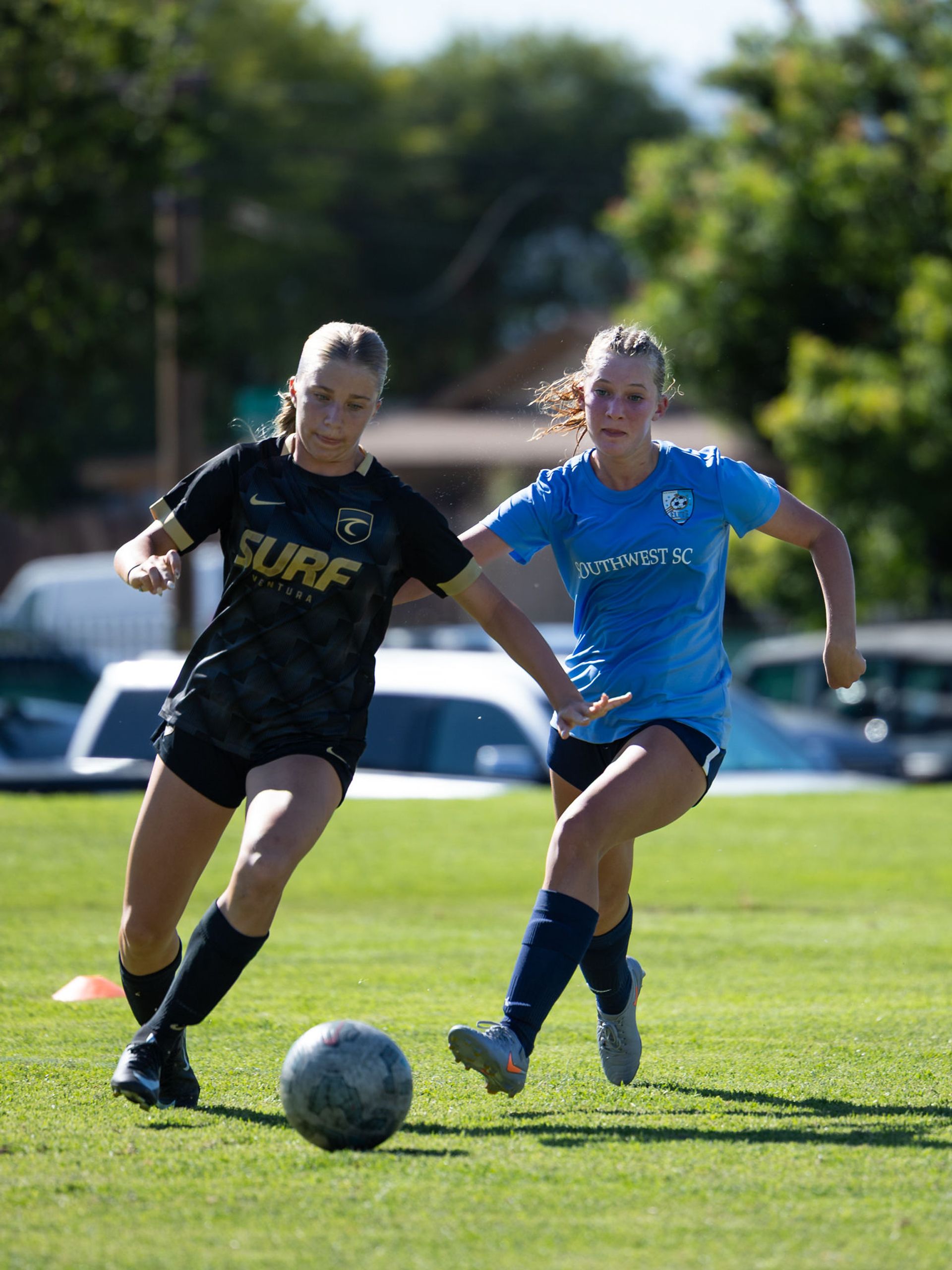 SWSC Thanksgiving Showcase 2026 Cover