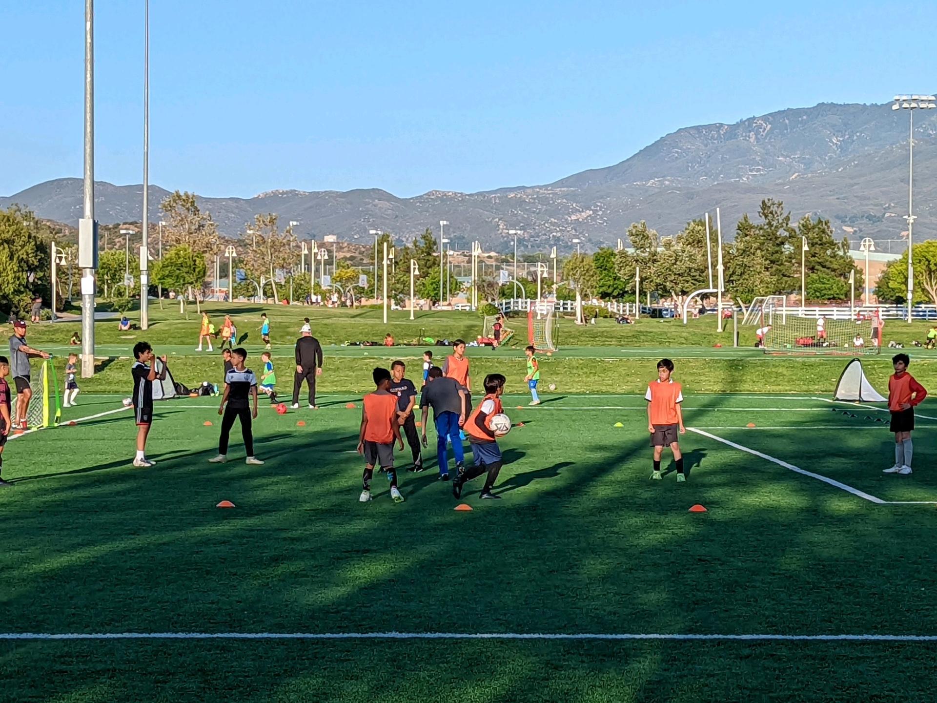 Soccer Camps