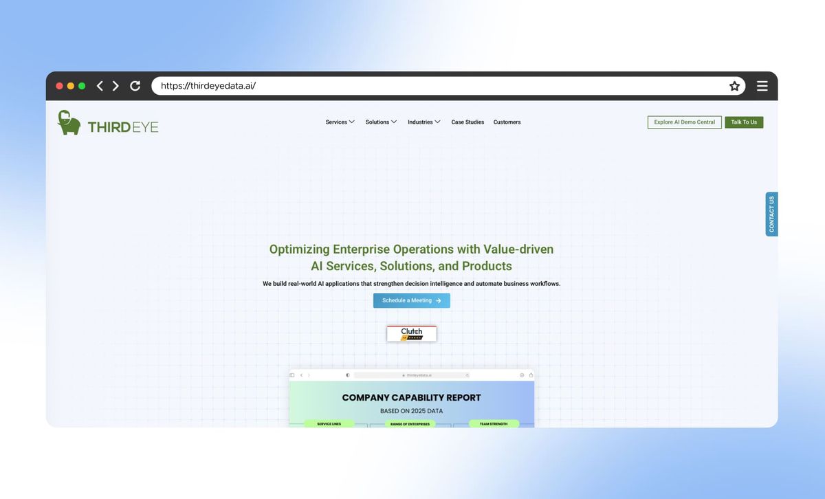 ThirdEye Data website homepage