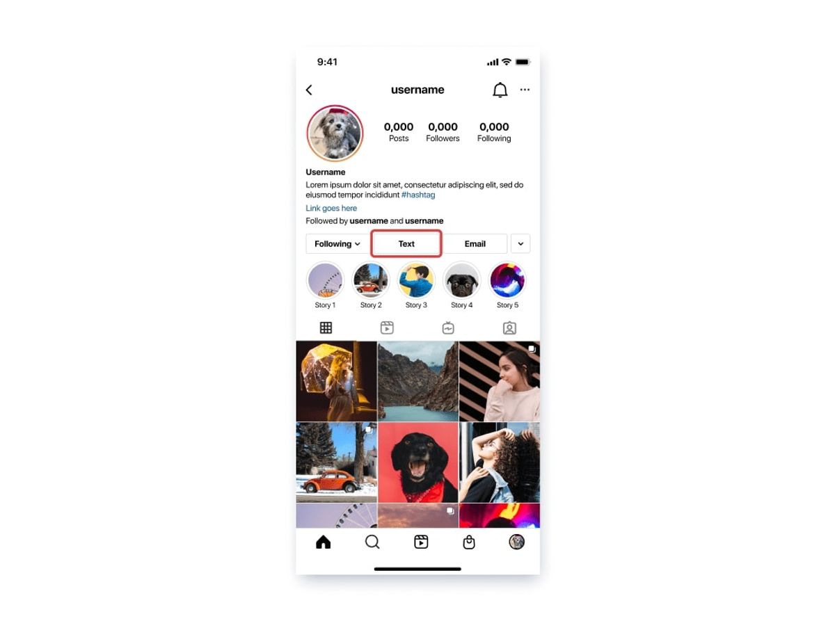 An Instagram profile on a phone with the row of contact buttons under the bio — Following, Text, Email — and the “Text” button outlined in red