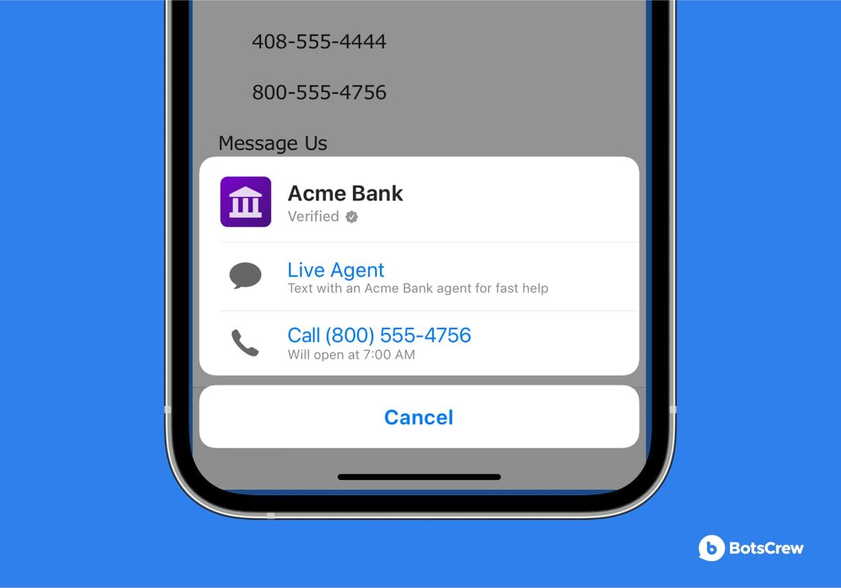 Apple Messages for Business customer support chat example