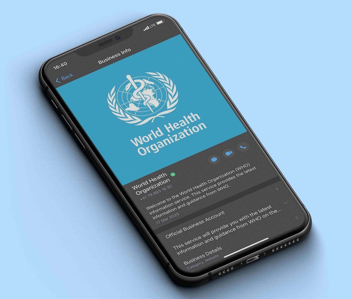 A phone showing the World Health Organization's WhatsApp Business Info screen: the WHO emblem as the header image, the verified account name and phone number, the welcome text about the information service, and rows for Official Business Account and Business Details