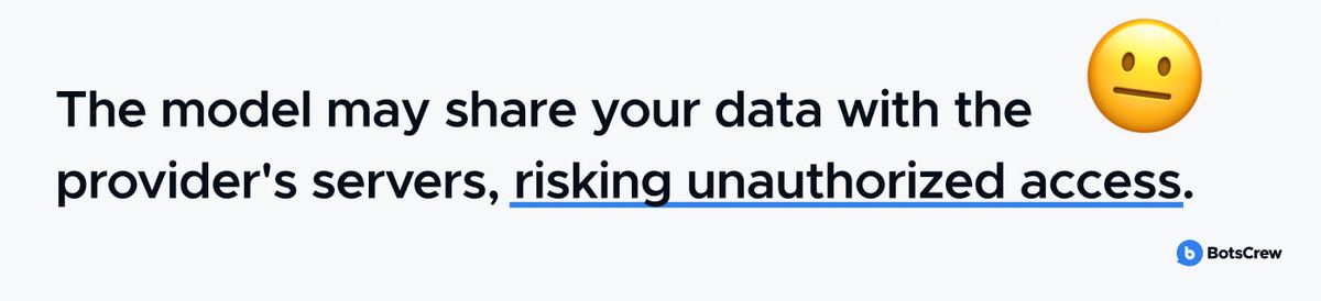 Warning that an AI model may share your data with the provider's servers, risking unauthorized access
