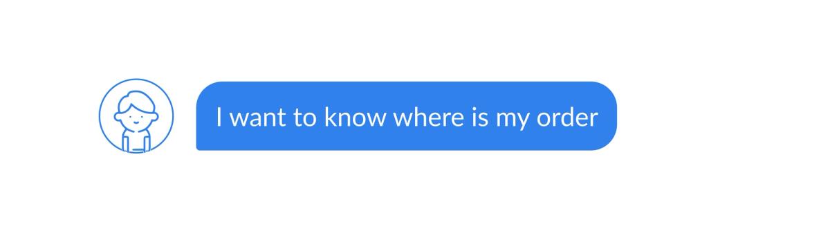 A single blue chat bubble from a visitor avatar: “I want to know where is my order”