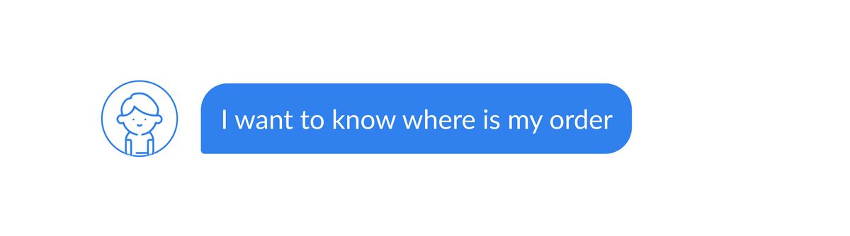 A single blue chat bubble from a visitor avatar: “I want to know where is my order”