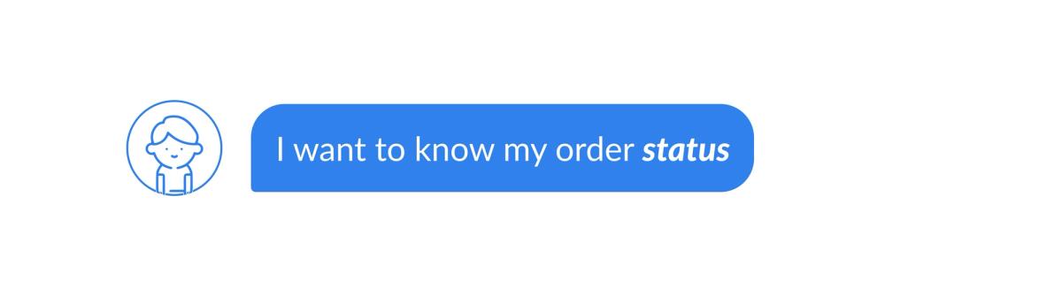 A single blue chat bubble from a visitor avatar: “I want to know my order status”, with “status” set in bold italics