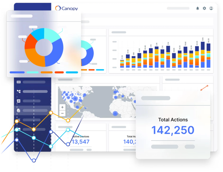 Analyze & Report