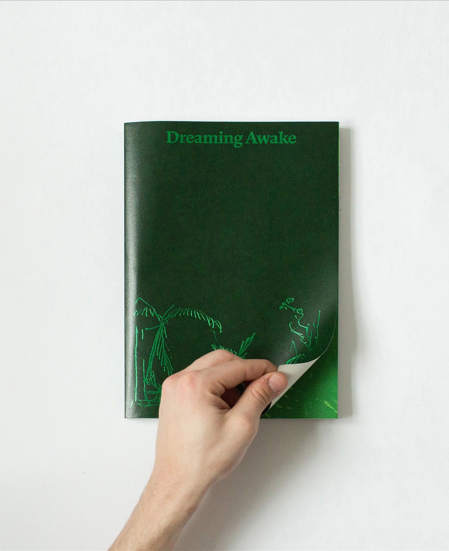 Cover of "Dreaming Awake" publication