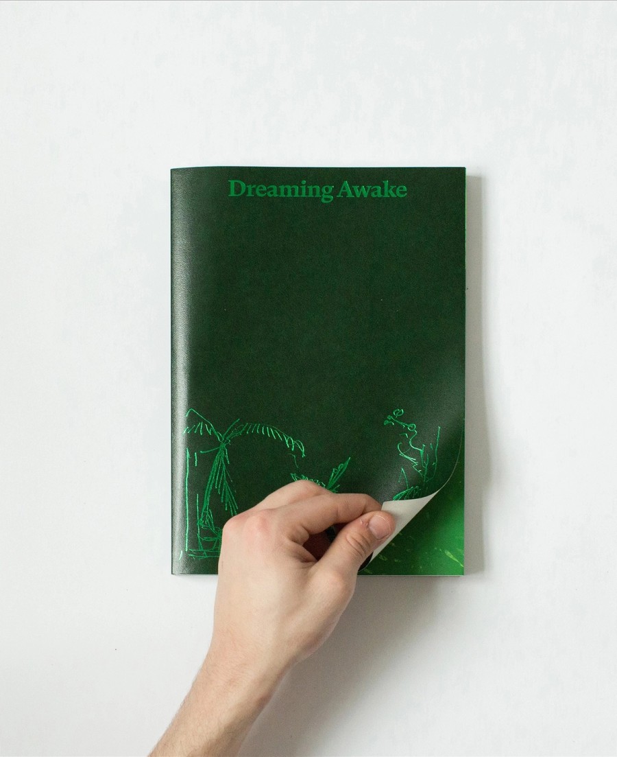 Cover of "Dreaming Awake" publication