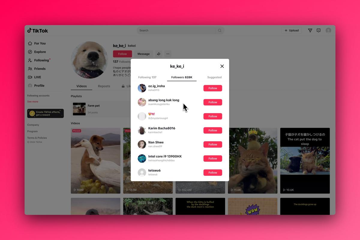 Featured image for π± How to scrape Tiktok followers without code