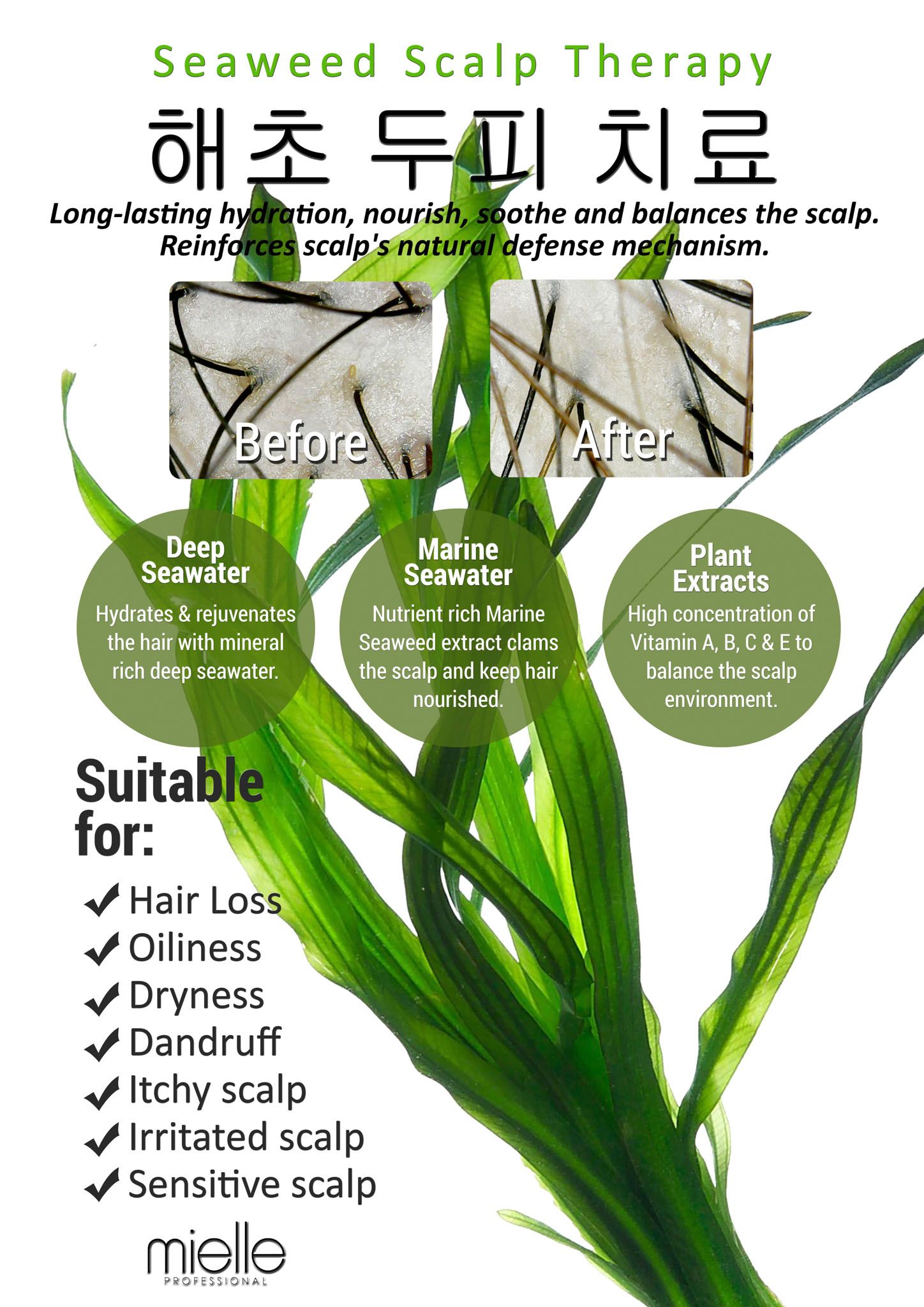 Mielle Seaweed Scalp Therapy