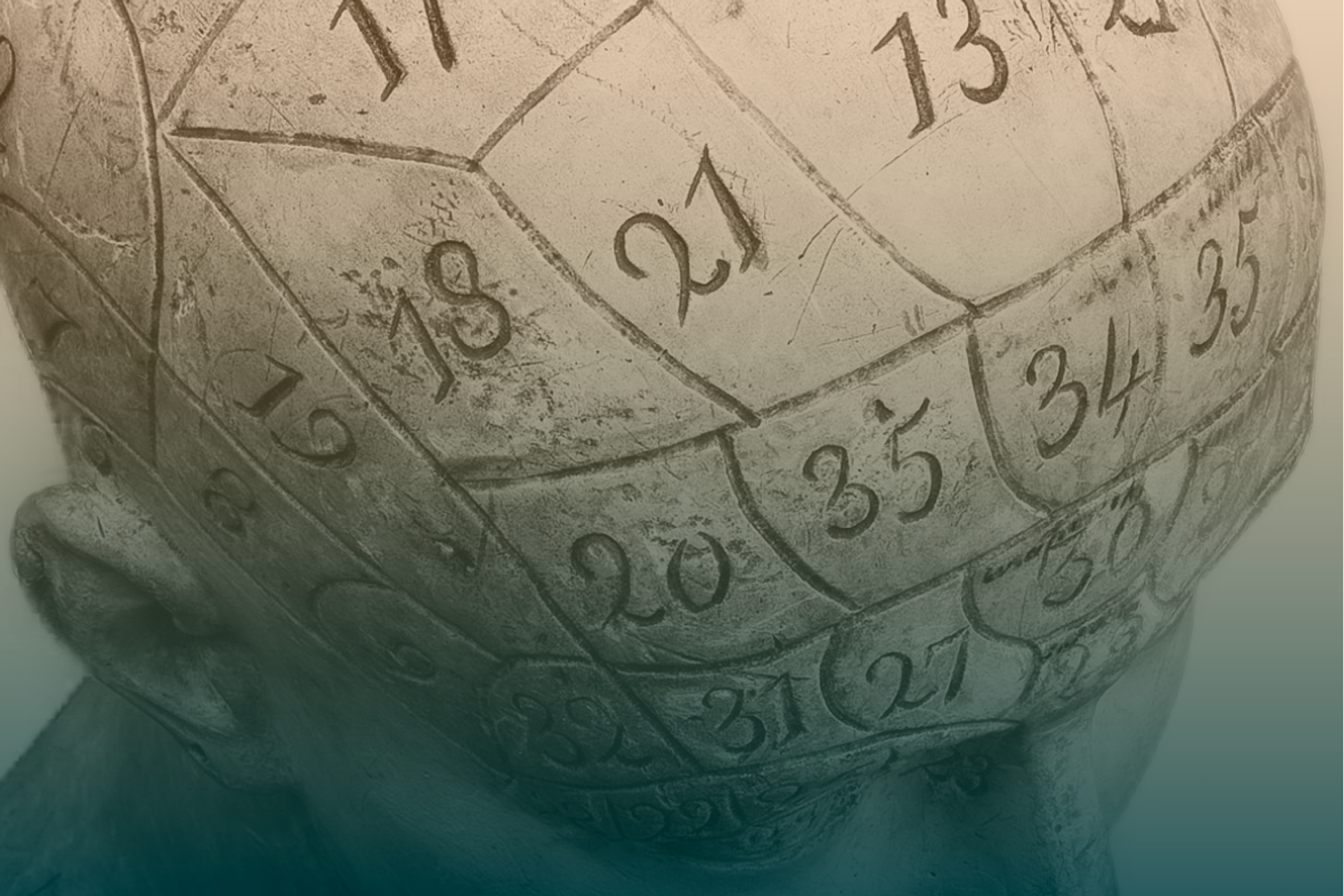 A number phrenological bust