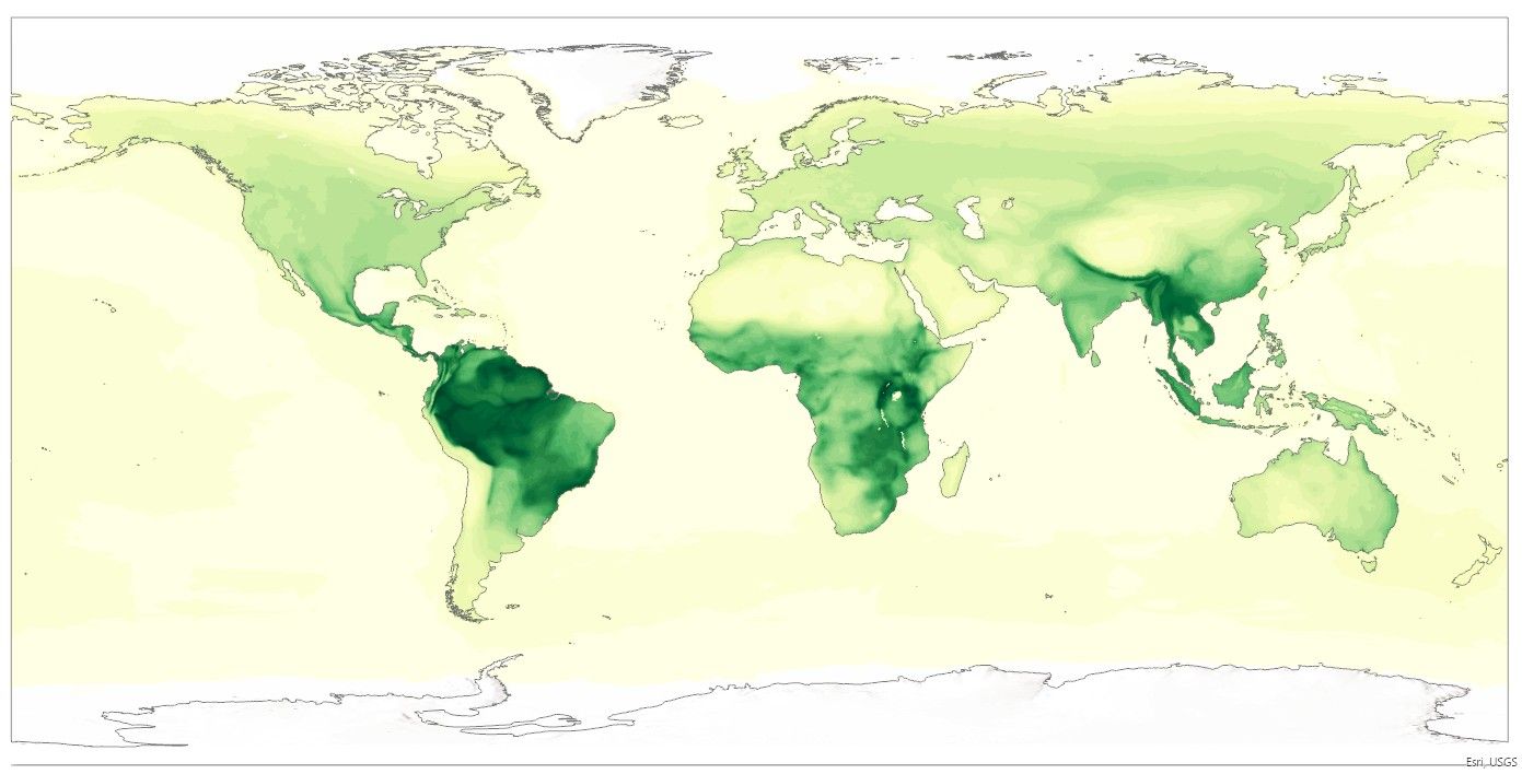 Number of Bird Species in the World: Discover Amazing Diversity Today