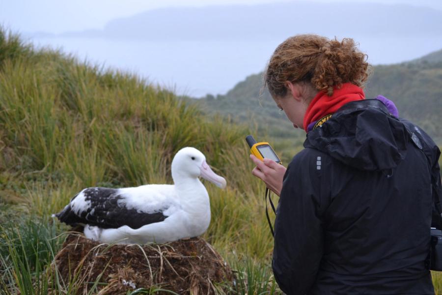 Birdlife Datazone Birdlife Datazone