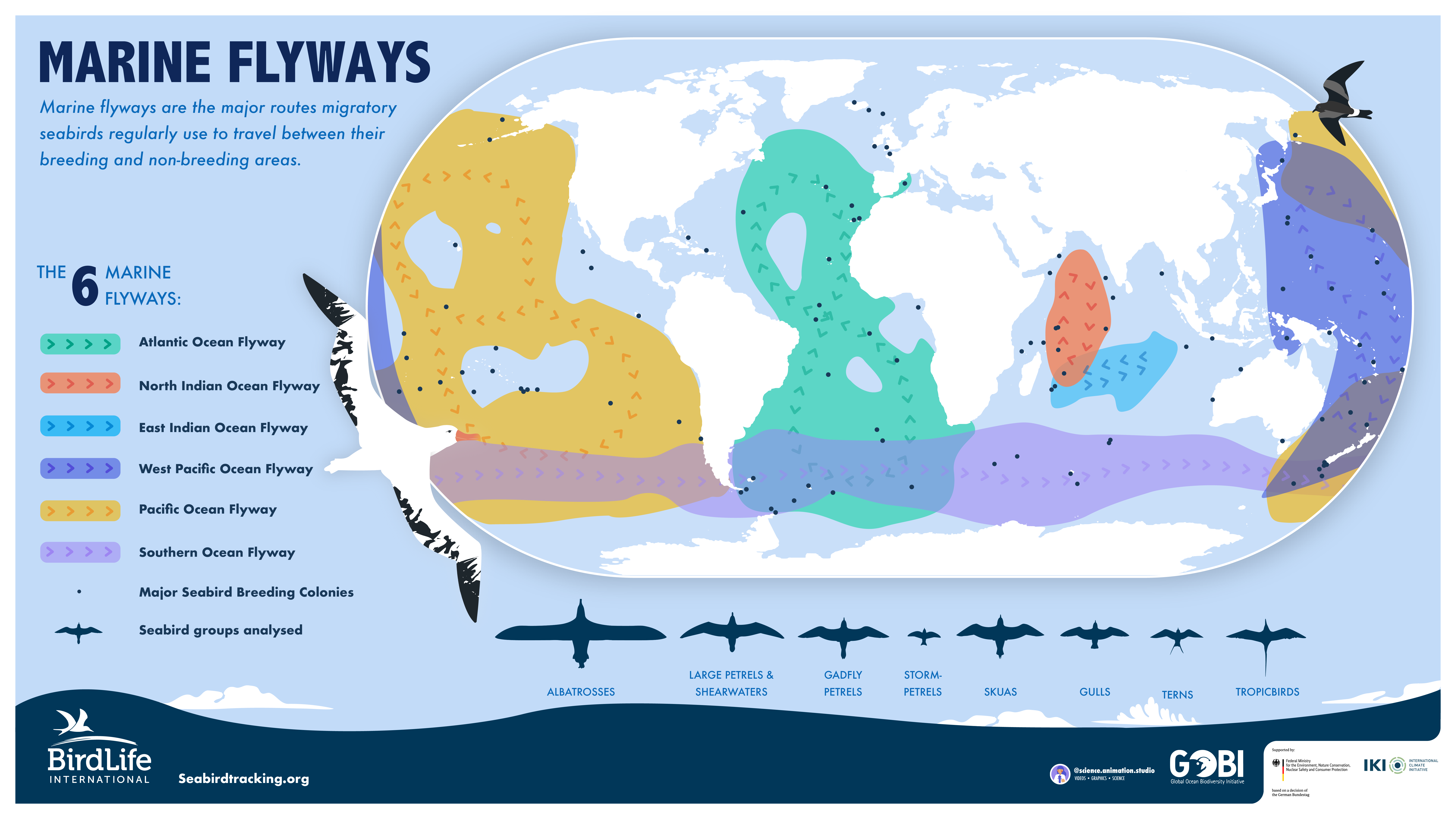 Migratory Bird Flyway Conservation: Protecting Critical Habitats Now
