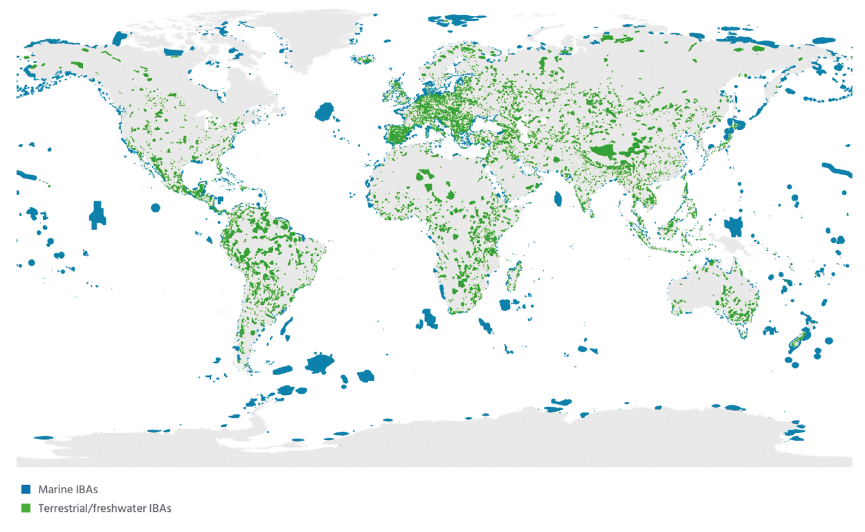 Ibp Map Over 13,600 Important Bird and Biodiversity Areas have been identified ...