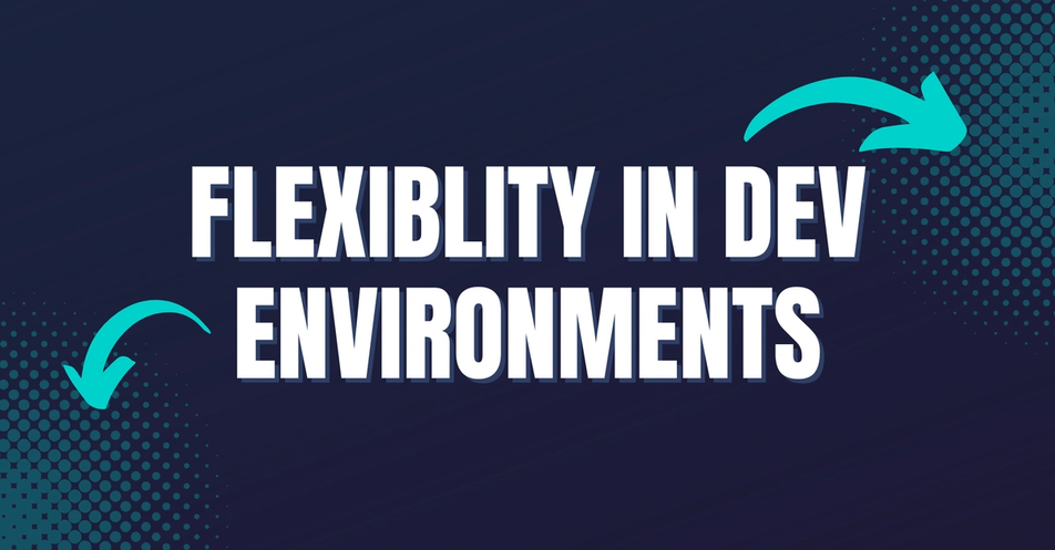 Graphic with text "Flexibility in Dev Environments"
