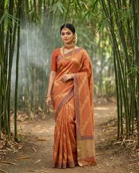 Burnt Orange Ethnic Serenity Saree