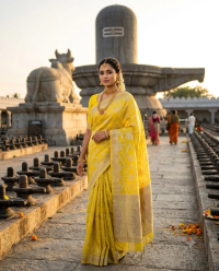 Chanderi Fancy Weaving Butta