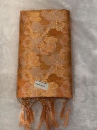 Golden Zari Festive Elegance