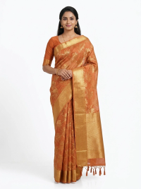 Golden Zari Festive Elegance