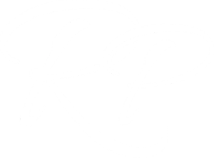 Reinier Peters