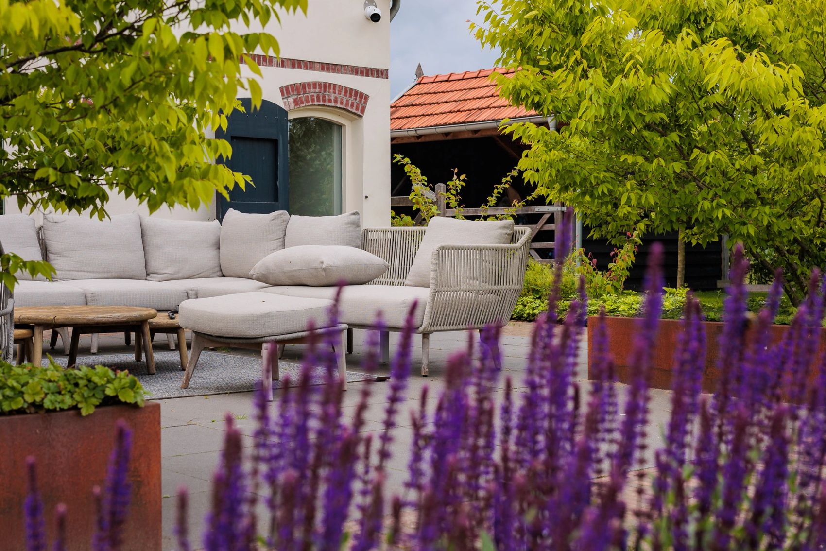 Loungeset op een terras achter een rij paarse salvia, gemaakt door Bold Productions
