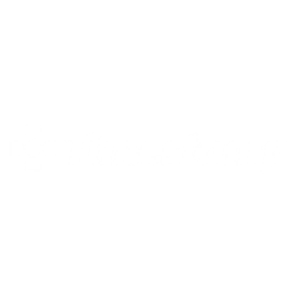 Timestamp Arnhem