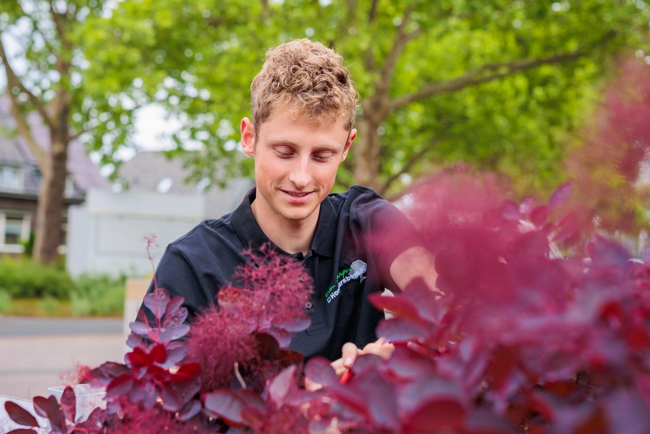 Portret van een jonge hovenier achter rood blad in een groene straat.