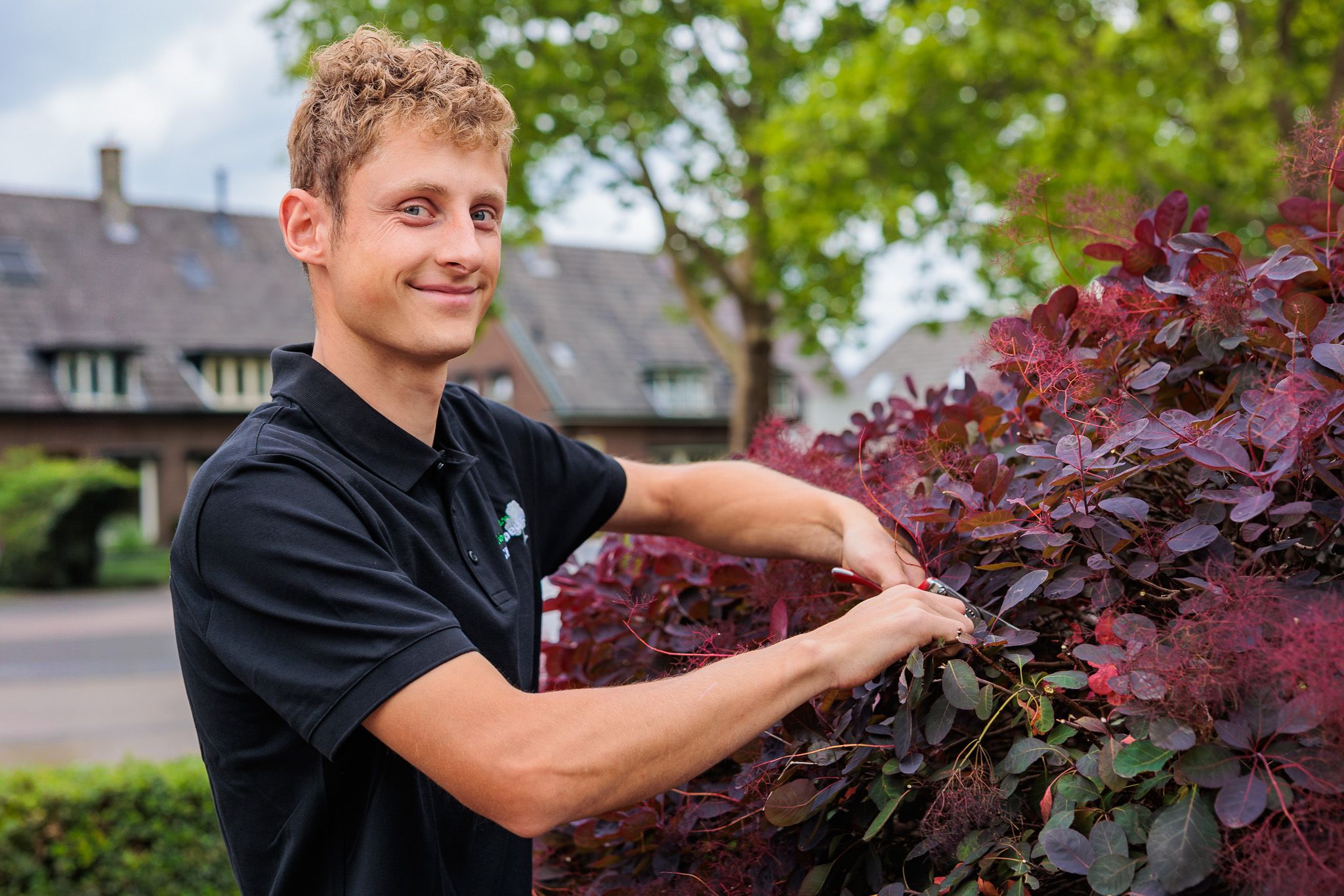 Lachende hovenier bij een rode bladplant, Hoveniersbedrijf Van Antwerpen.
