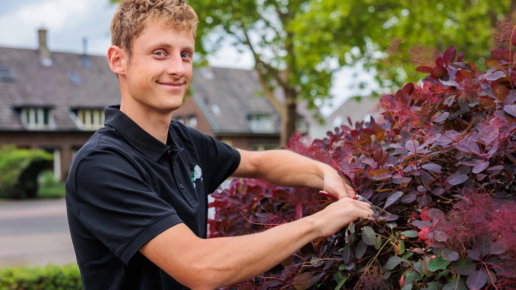 Lachende hovenier bij een rode bladplant, Hoveniersbedrijf Van Antwerpen.