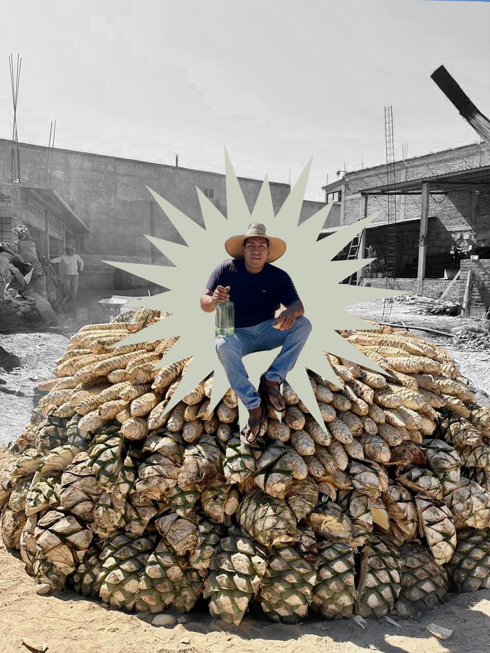 Fotografía 1 del campo y el proceso de Limbo Mezcal