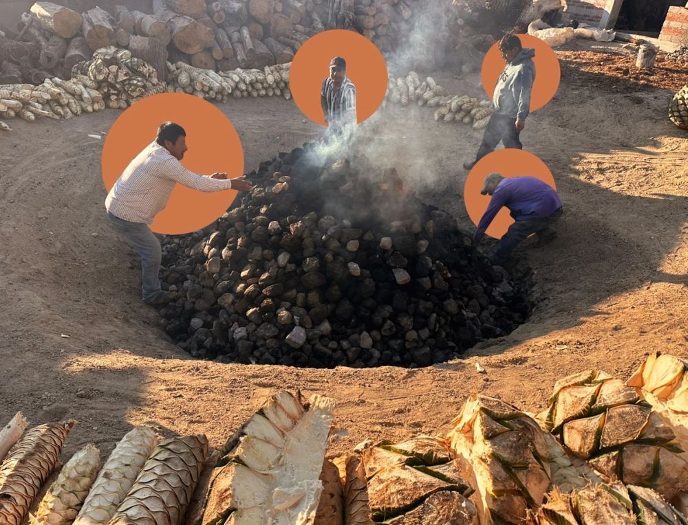 Fotografía 6 del campo y el proceso de Limbo Mezcal