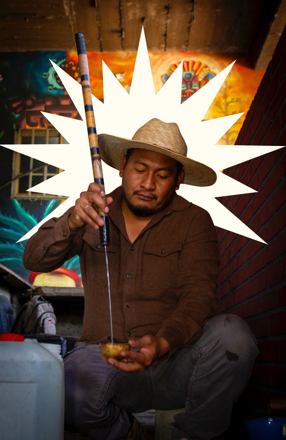 Fotografía 3 del campo y el proceso de Limbo Mezcal