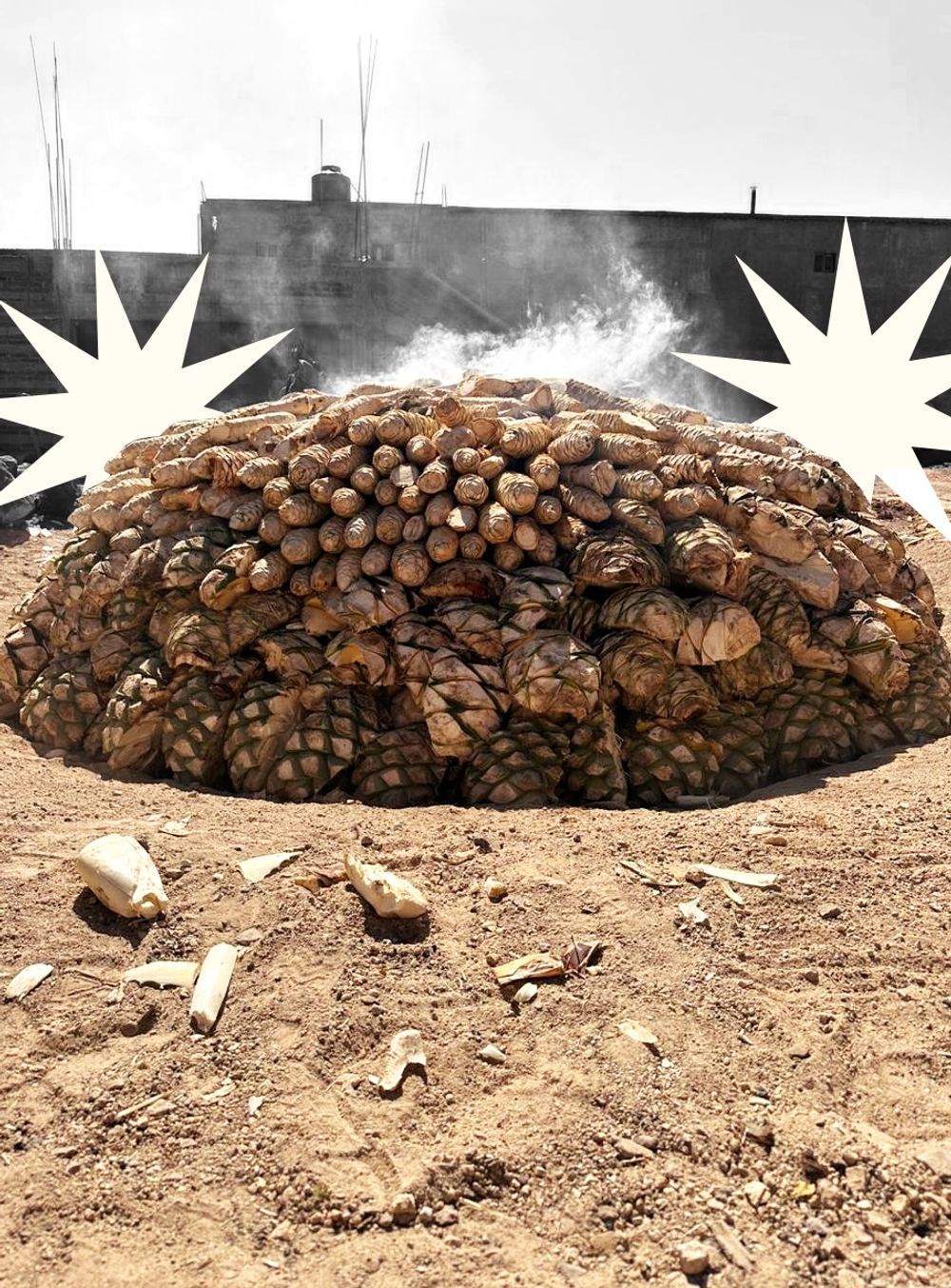 Fotografía 5 del campo y el proceso de Limbo Mezcal