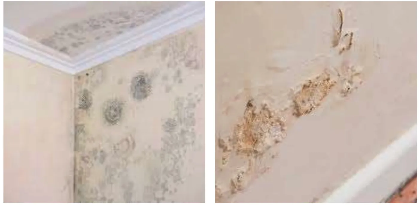 Dampness in building