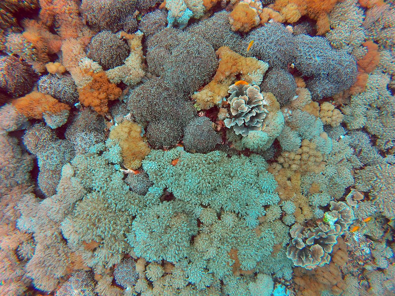 Tulamben
